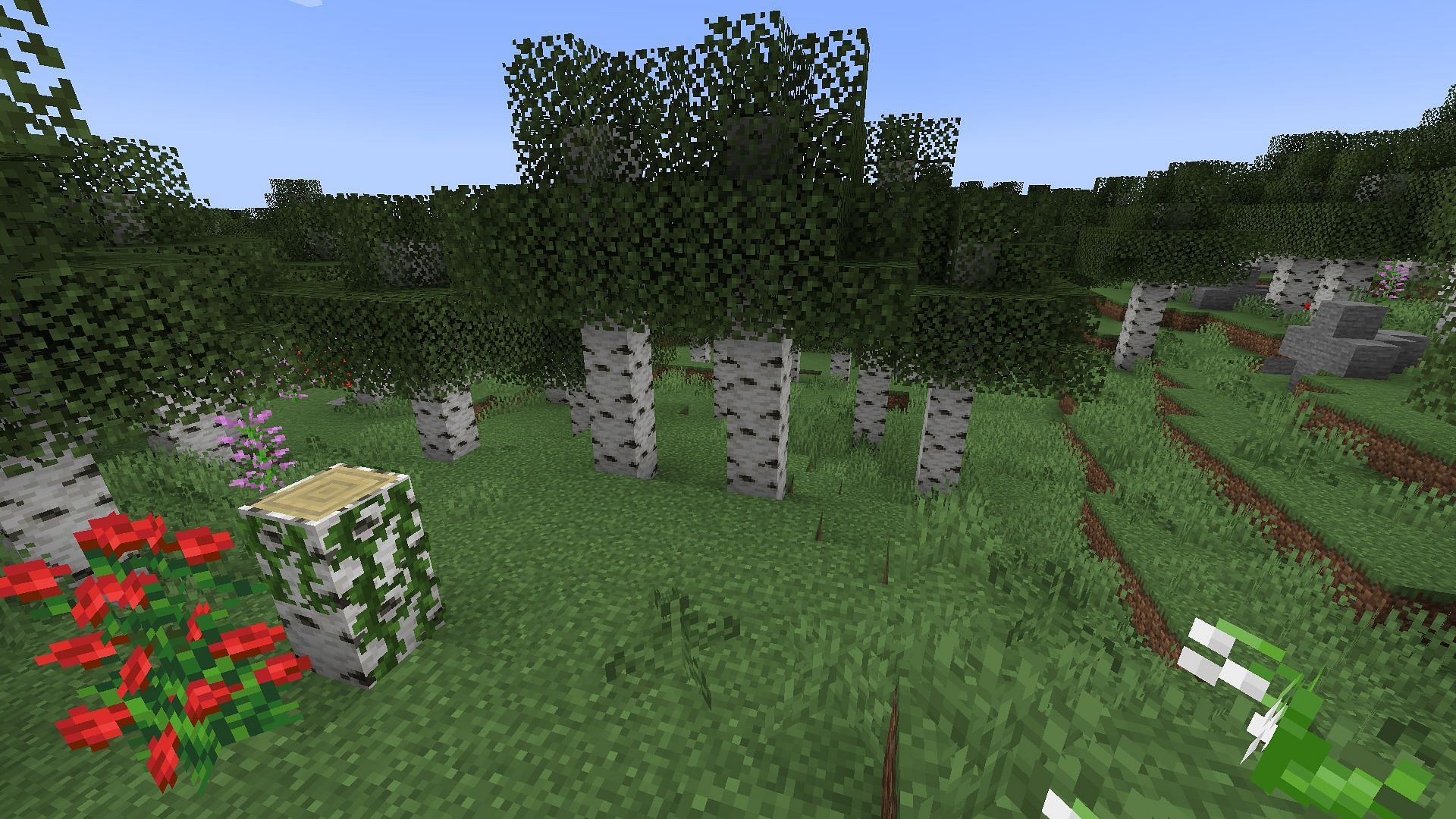 An improved birch forest created by Geophilic (Image via Mojang)