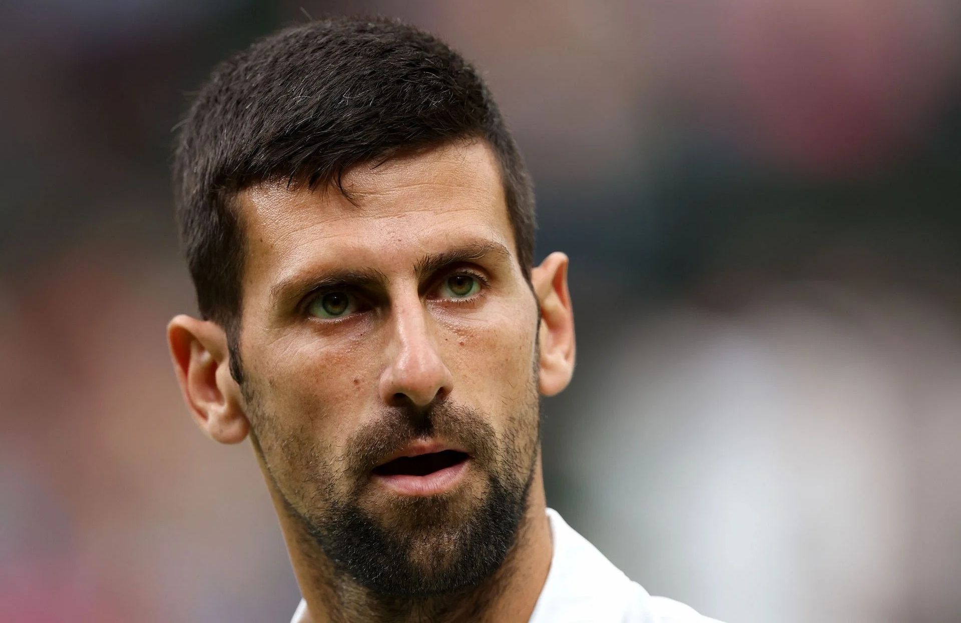 Novak Djokovic has not won any titles in 2024. (Image: Getty)