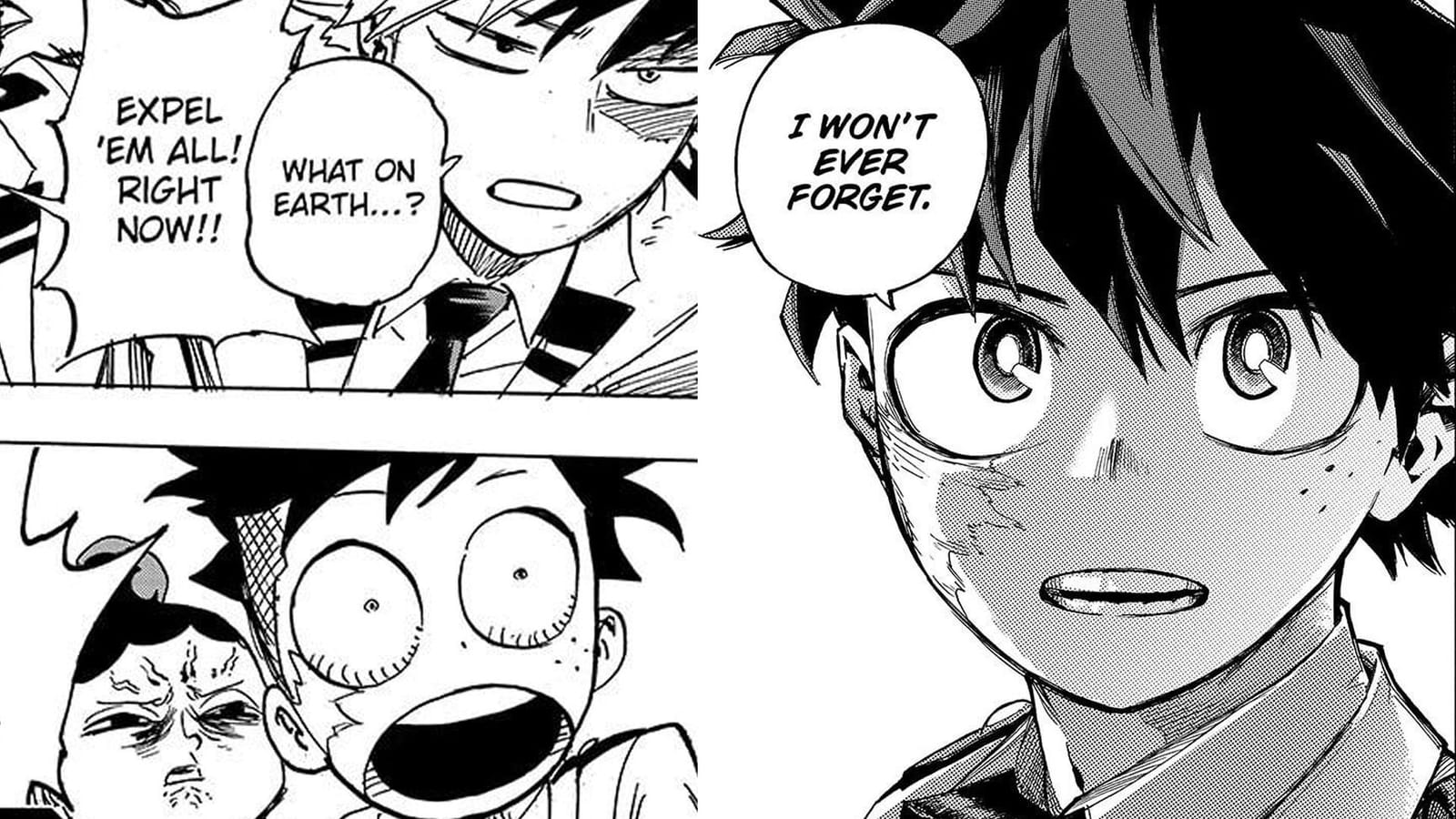 Deku may have ignited a change in the Hero Society and My Hero Academia