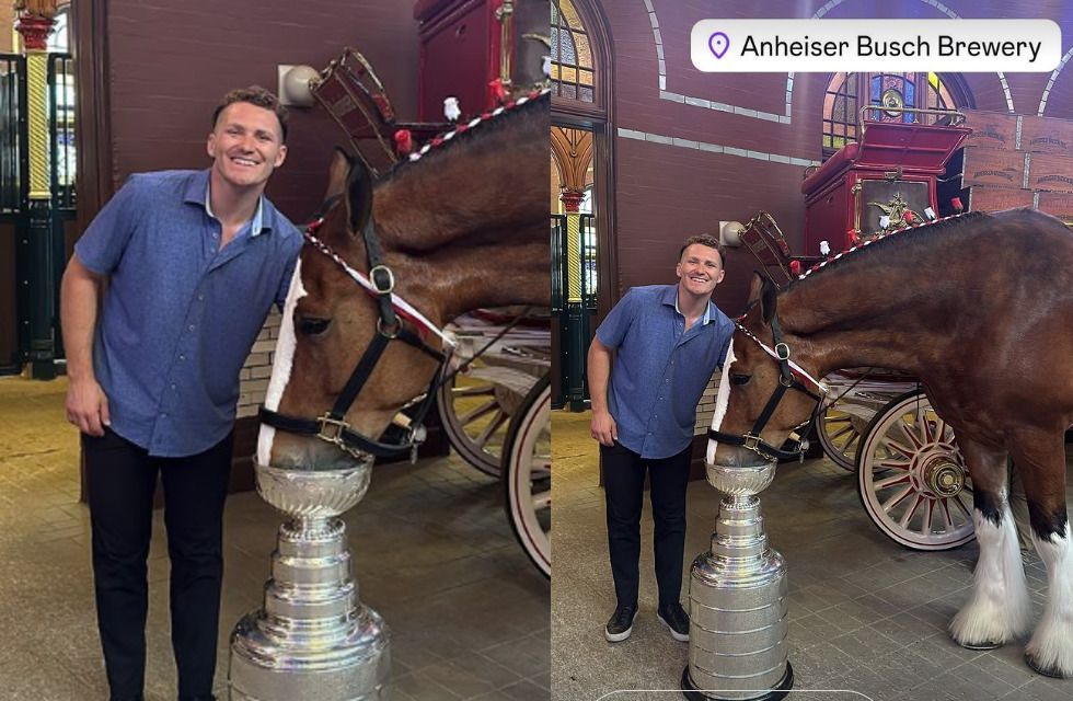 Matthew Tkachuk lets Budweiser Clydesdales drink from the Stanley Cup (Credit: Taryn Tkachuk on IG))