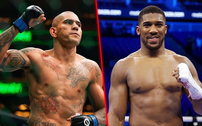 New career path for Alex Pereira? 'Poatan' reacts to Anthony Joshua's suggestion to make boxing debut