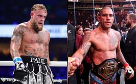 "Fu*king hilarious" - Jake Paul hits back at critics favoring Alex Pereira in their potential fight