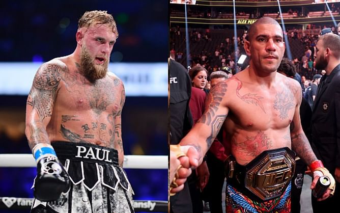"Fu*king hilarious" - Jake Paul hits back at critics favoring Alex Pereira in their potential fight