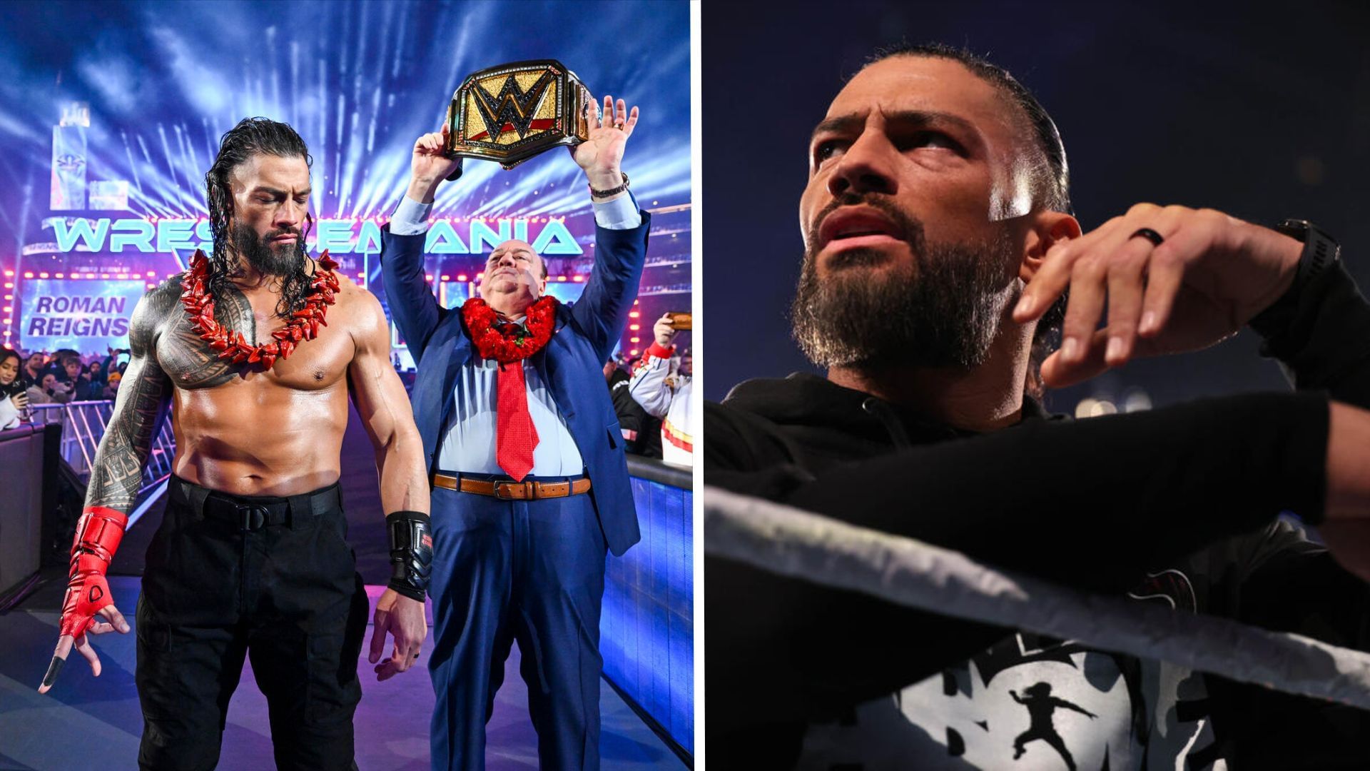 Roman Reigns could finally return at WWE SummerSlam [Image Credit: WWE.com]