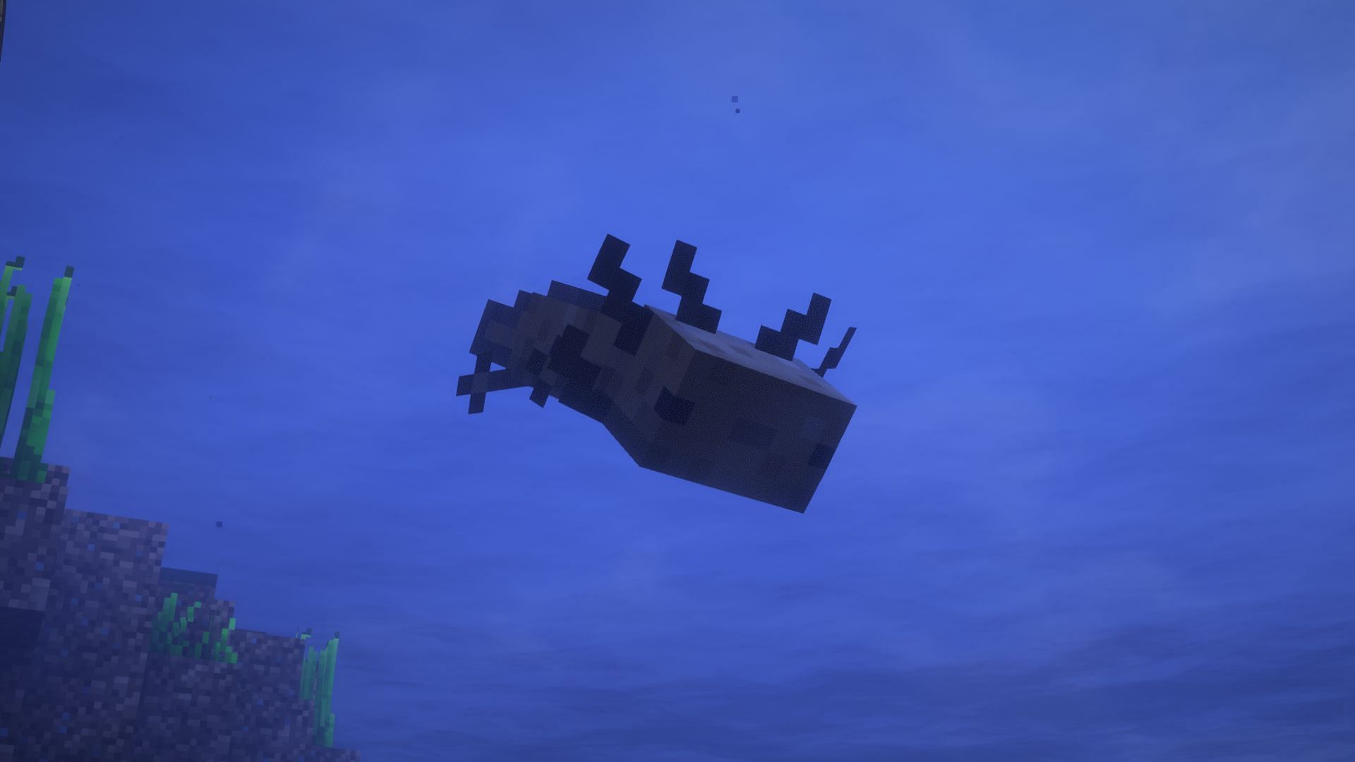 An axolotls swimming underwater (Image via Mojang)