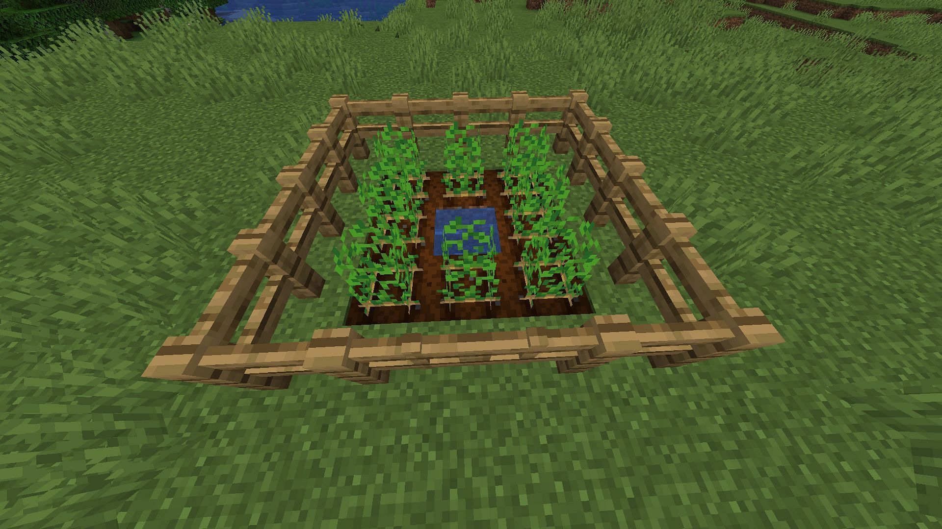 Potatoes make for an excellent early food source in Minecraft when baked (Image via Mojang)