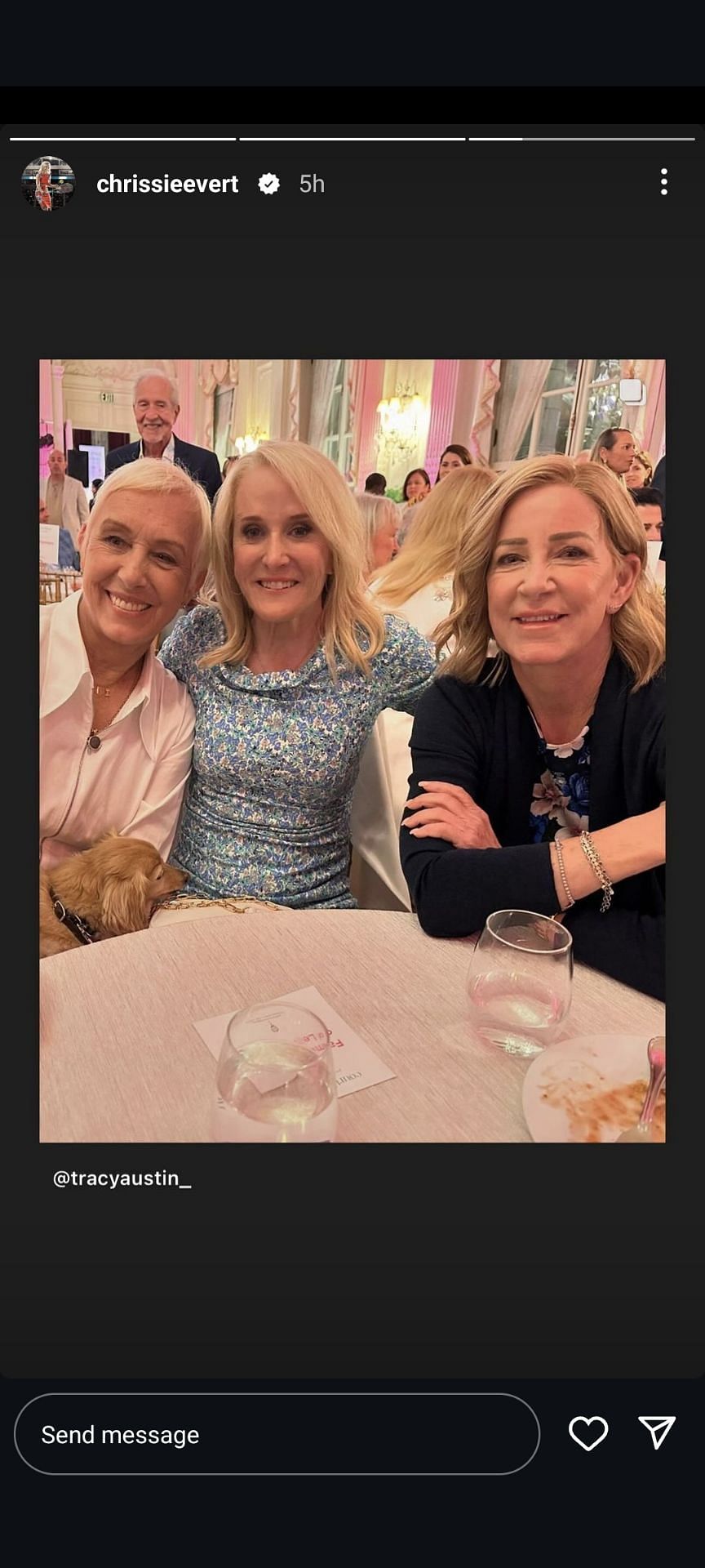 Chris Evert's Instagram Story featuring Tracy Austin and Martina Navratilova (Source: Chris Evert's Instagram)