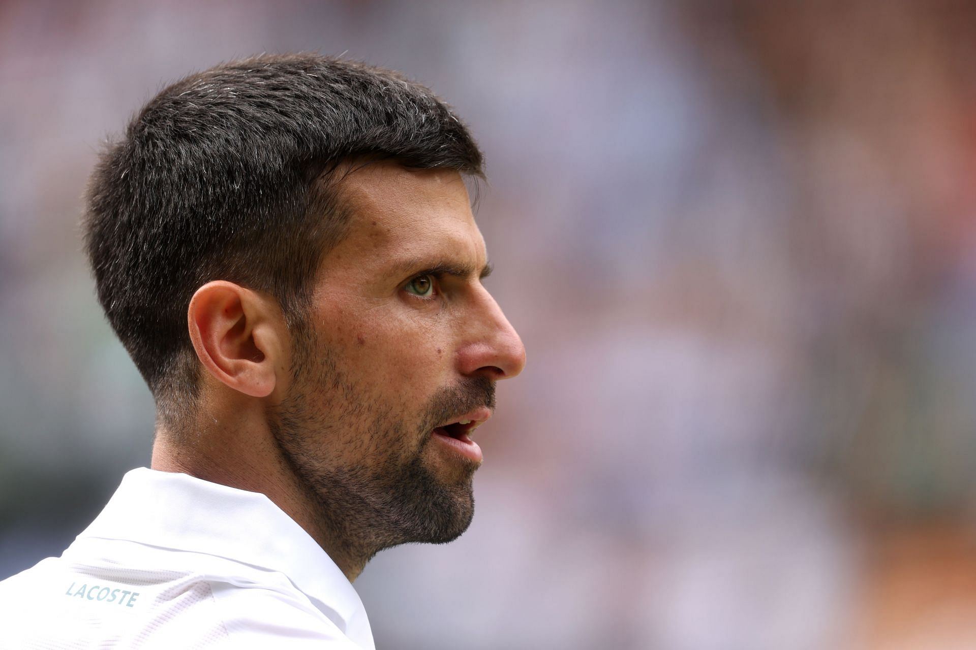 Novak Djokovic (Getty)