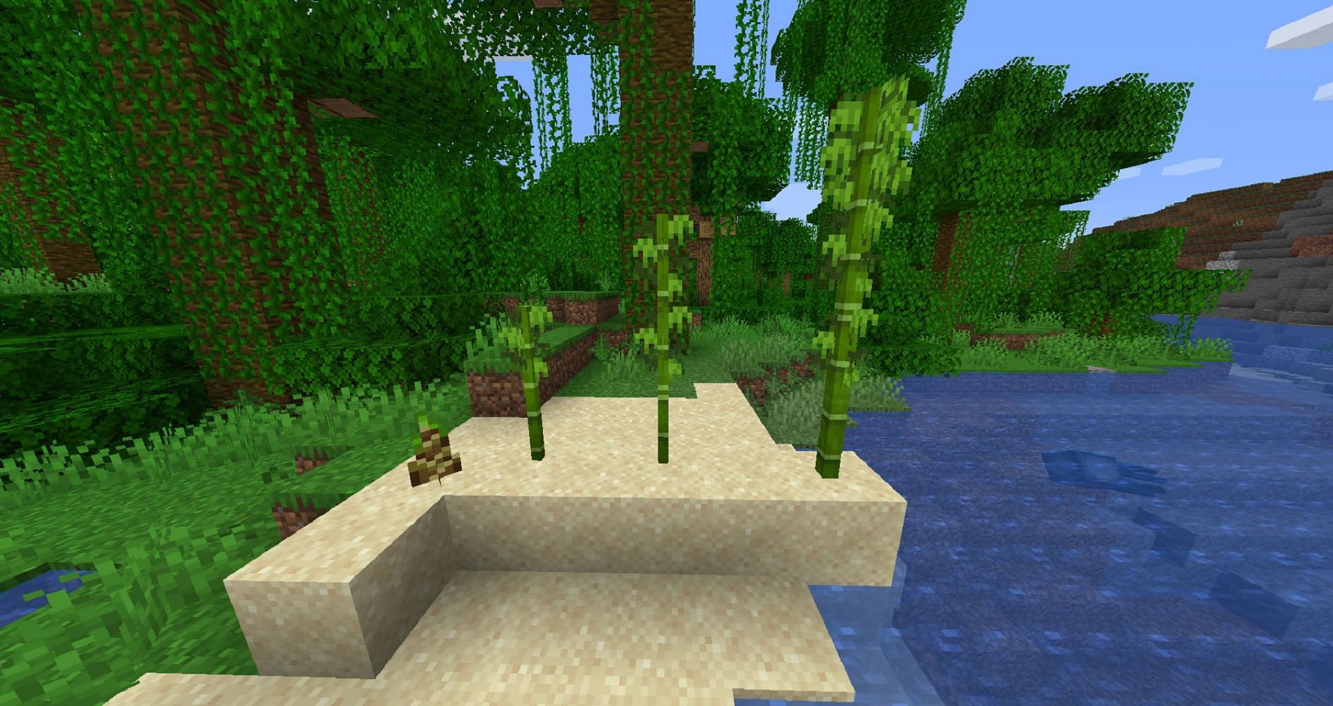 Bamboo is perfect for building and as an early fuel source in Minecraft (Image via Mojang)