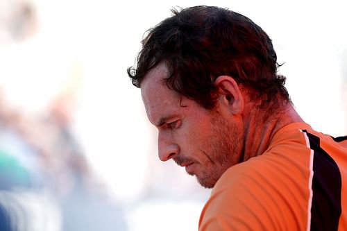 Andy Murray - Getty Images