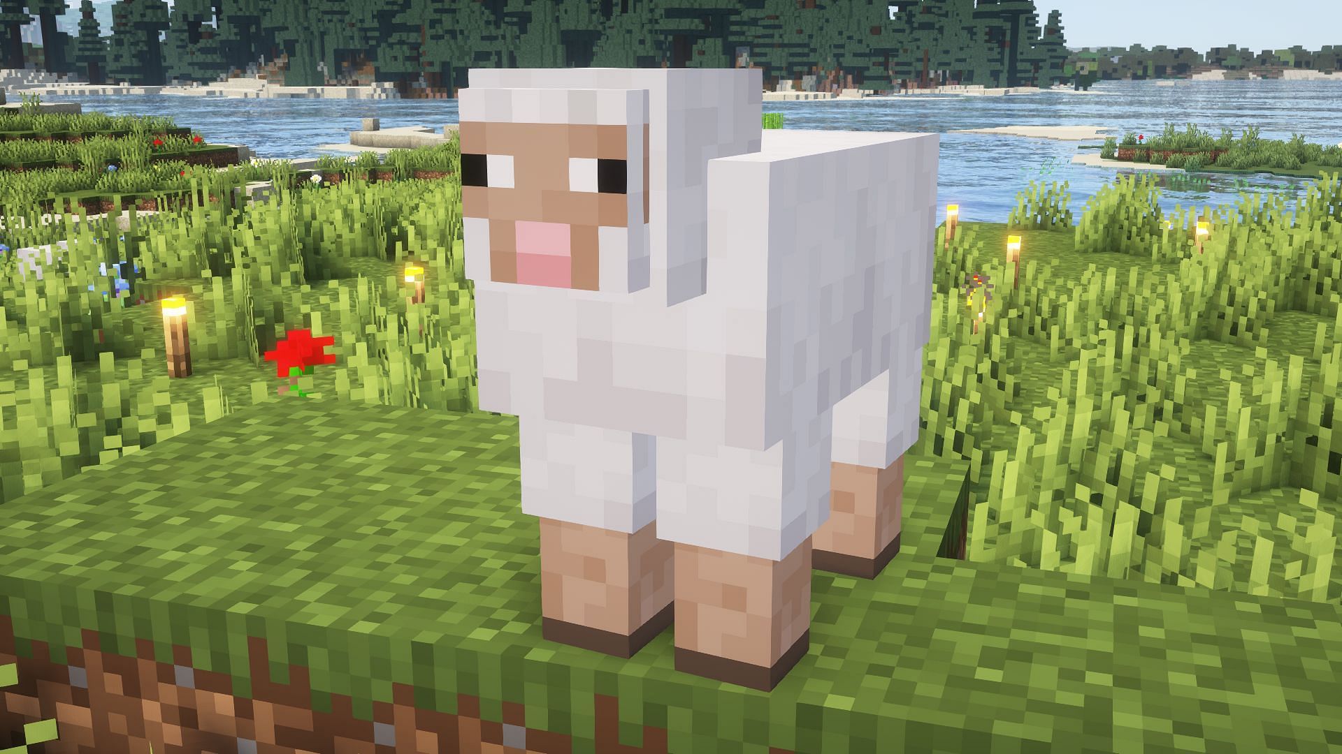 A sheep in a field (Image via Mojang)