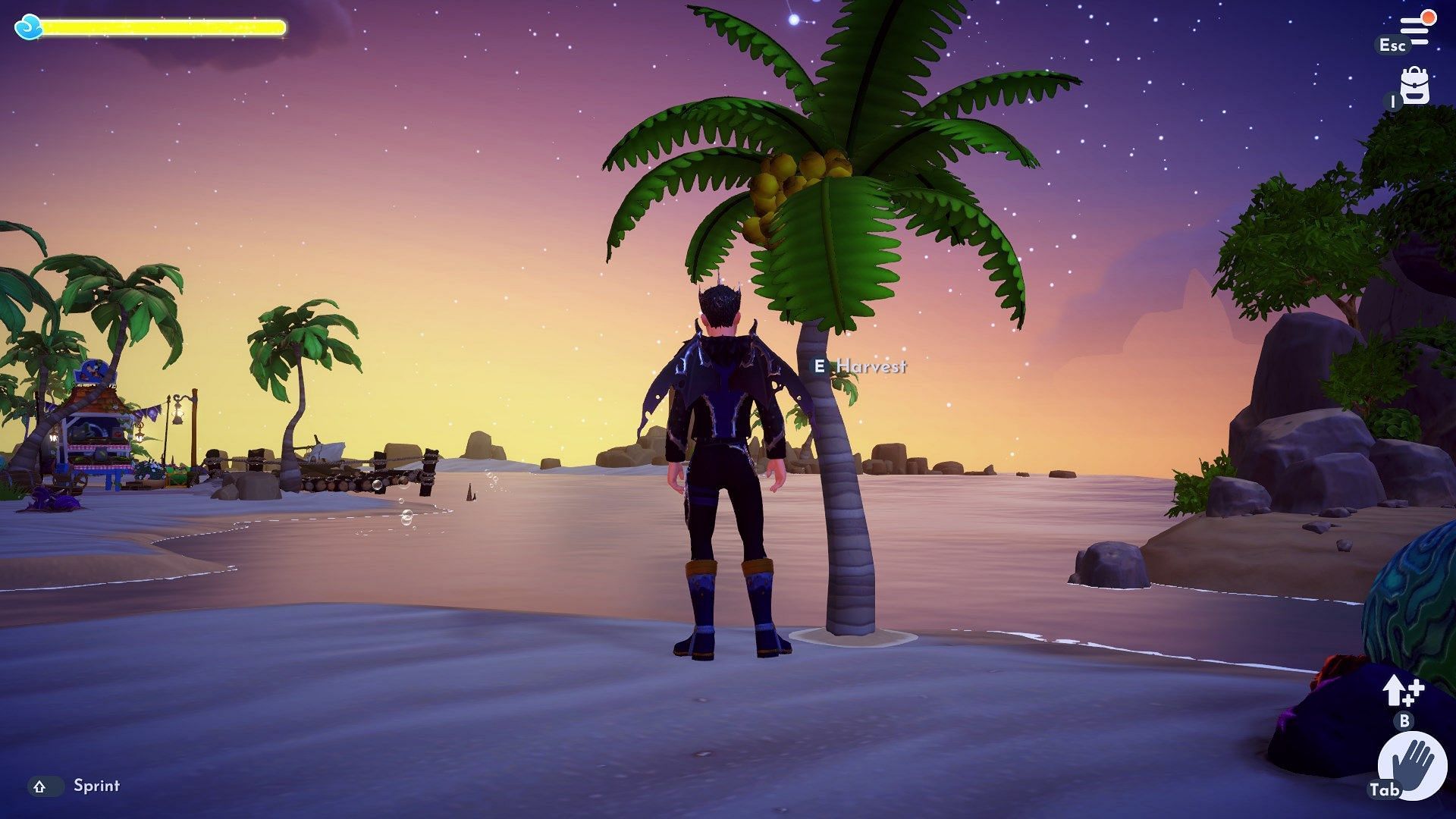 Coconut is found on Dazzle Beach after completing the &quot;Burying the Eel&quot; quest (Image via Gameloft)