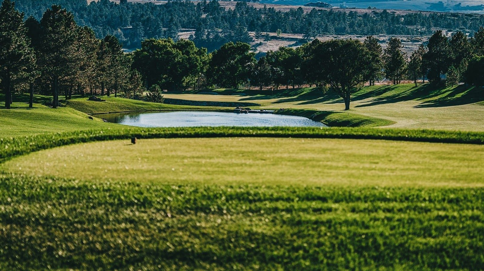 BMW Championship 2024 Field