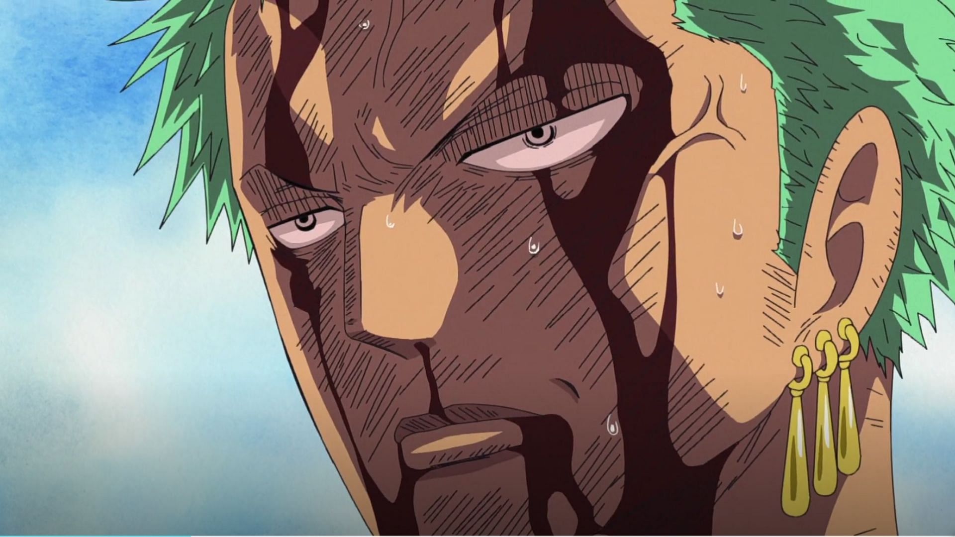 Zoro as seen in the One Piece anime (Image via Toei)