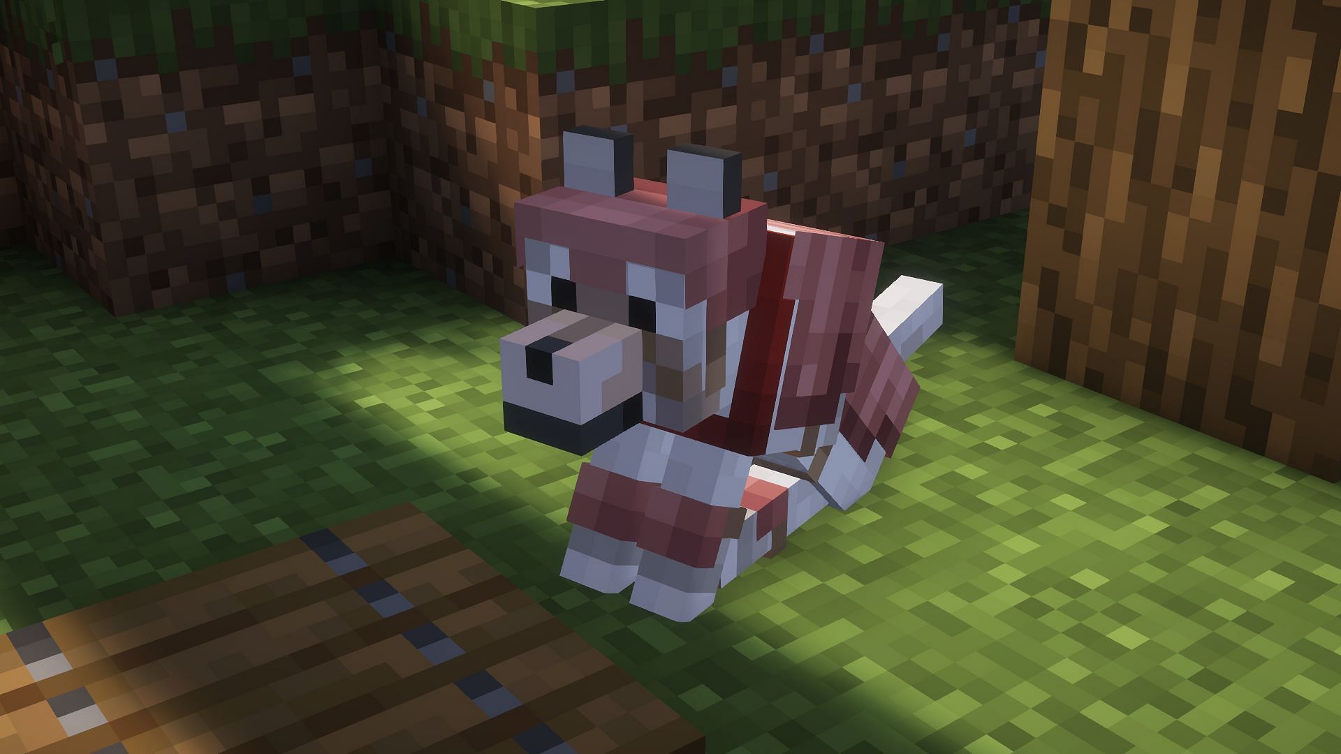 A tamed wolf in armor sitting down (Image via Mojang)