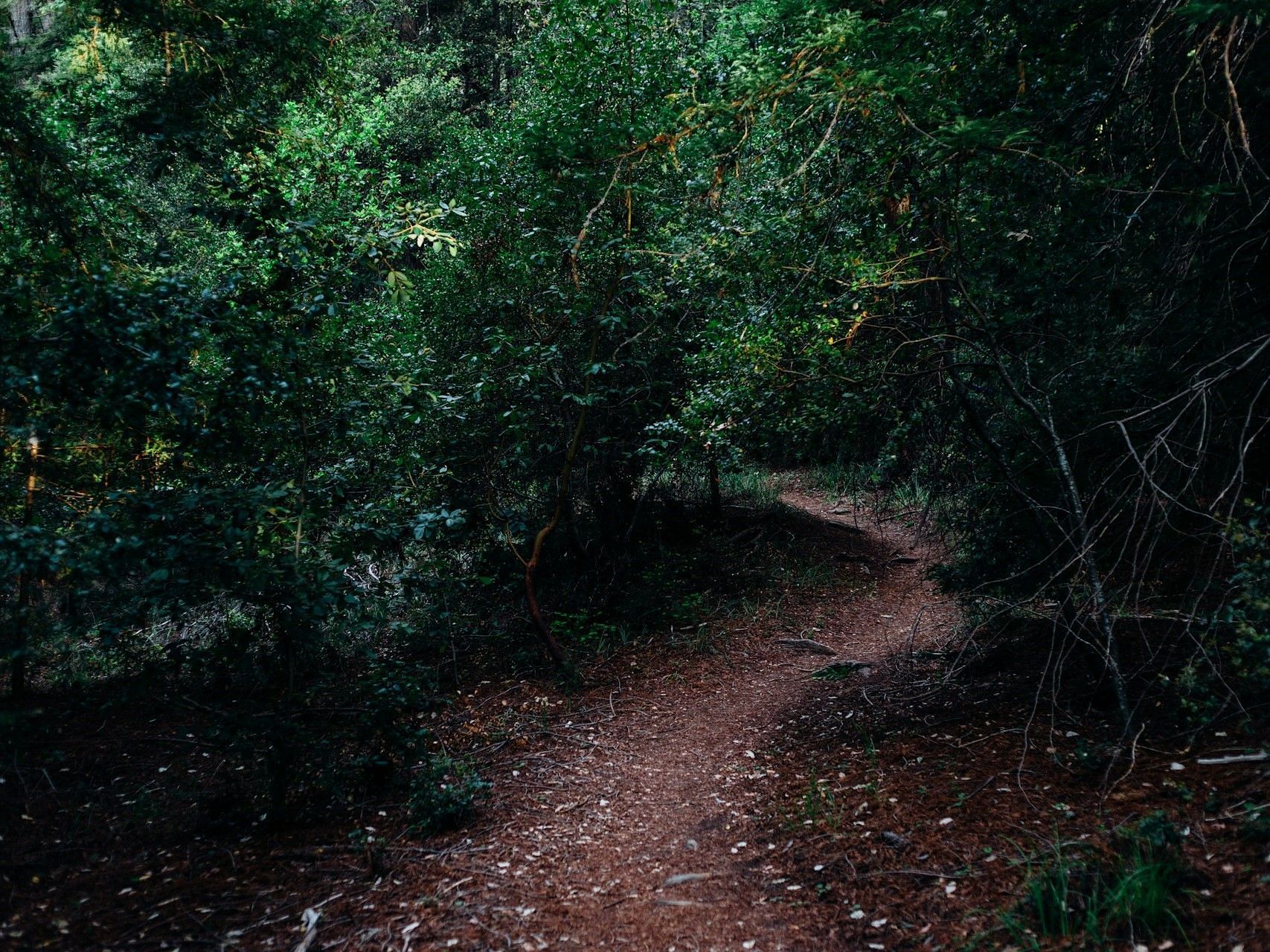 Craig&#039;s body was recovered from a field in Yates County (Representative image via Unsplash/Kyle Glenn)