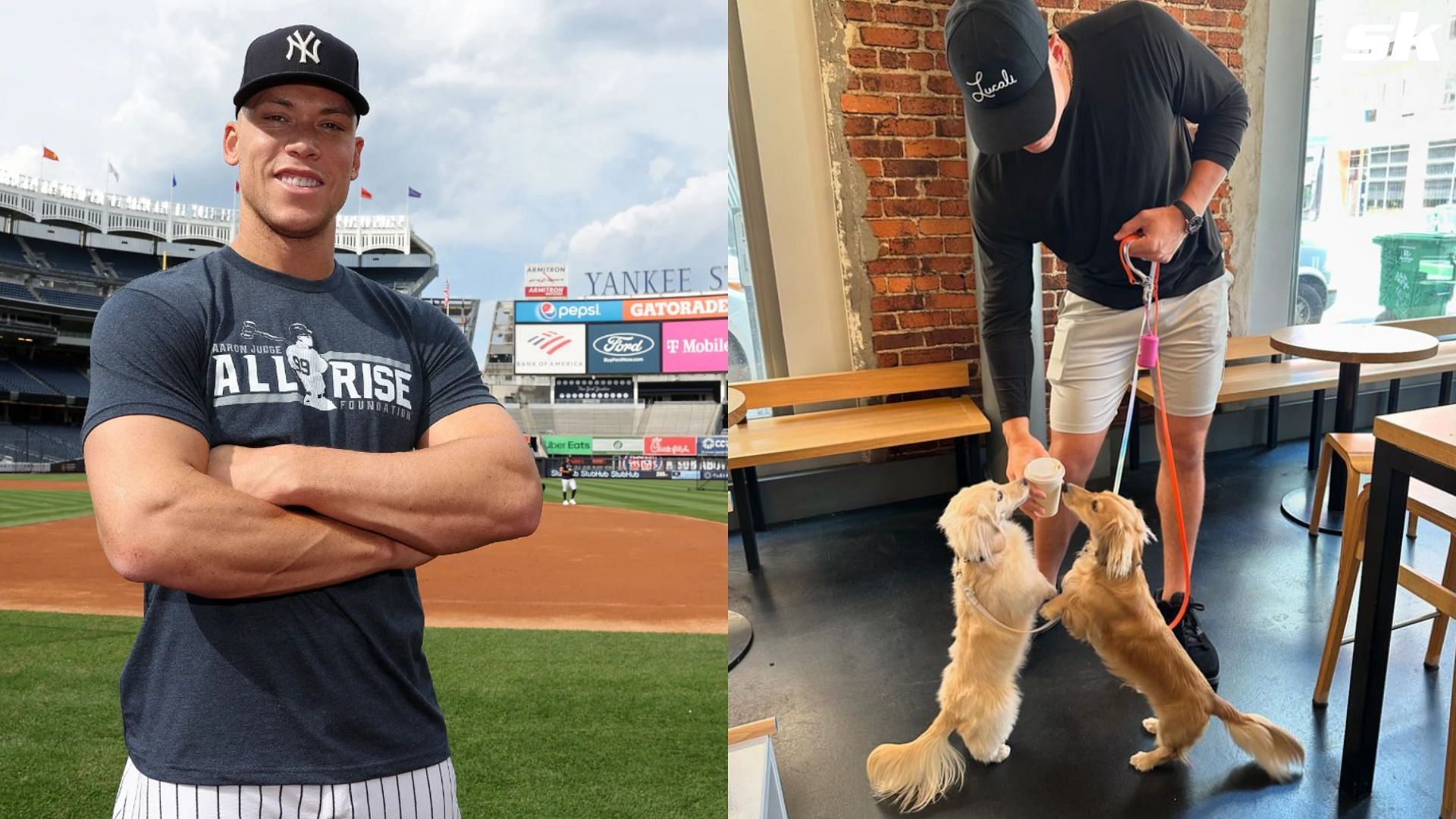 Aaron Judge with his dogs Penny and Gus (Source: Instagram/ Aaron Judge)