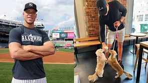 "They come with us everywhere" - Aaron Judge offers glimpse into Yankees star's life as devoted dog dad to Penny & Gus