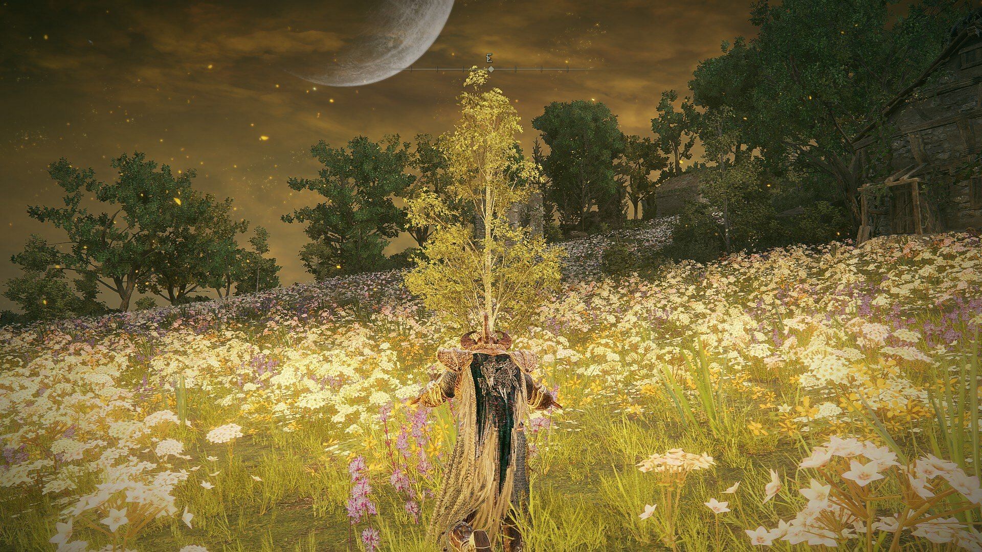 The O Mother gesture is the key to reaching the Hinterland in Elden Ring Shadow of the Erdtree (Image via FromSoftware)