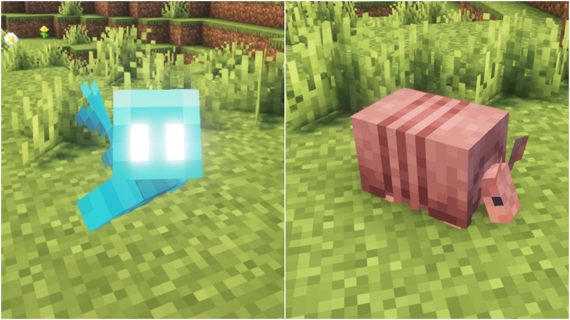 Allays and Armadillos are much more useful than Sniffers. (Image via Mojang Studios)