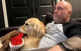 "You fu*king creeps" - Joe Rogan is surprised at how Google monitors conversations and shows relevant ads