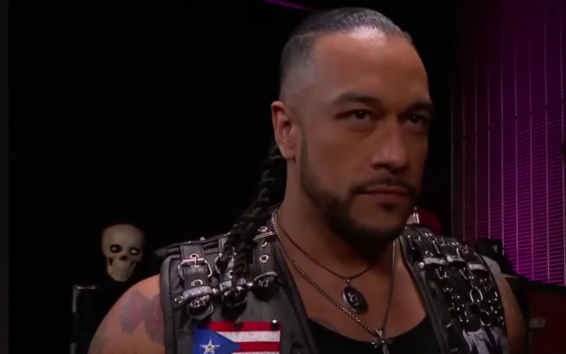 Picture Courtesy: WWE on YouTube