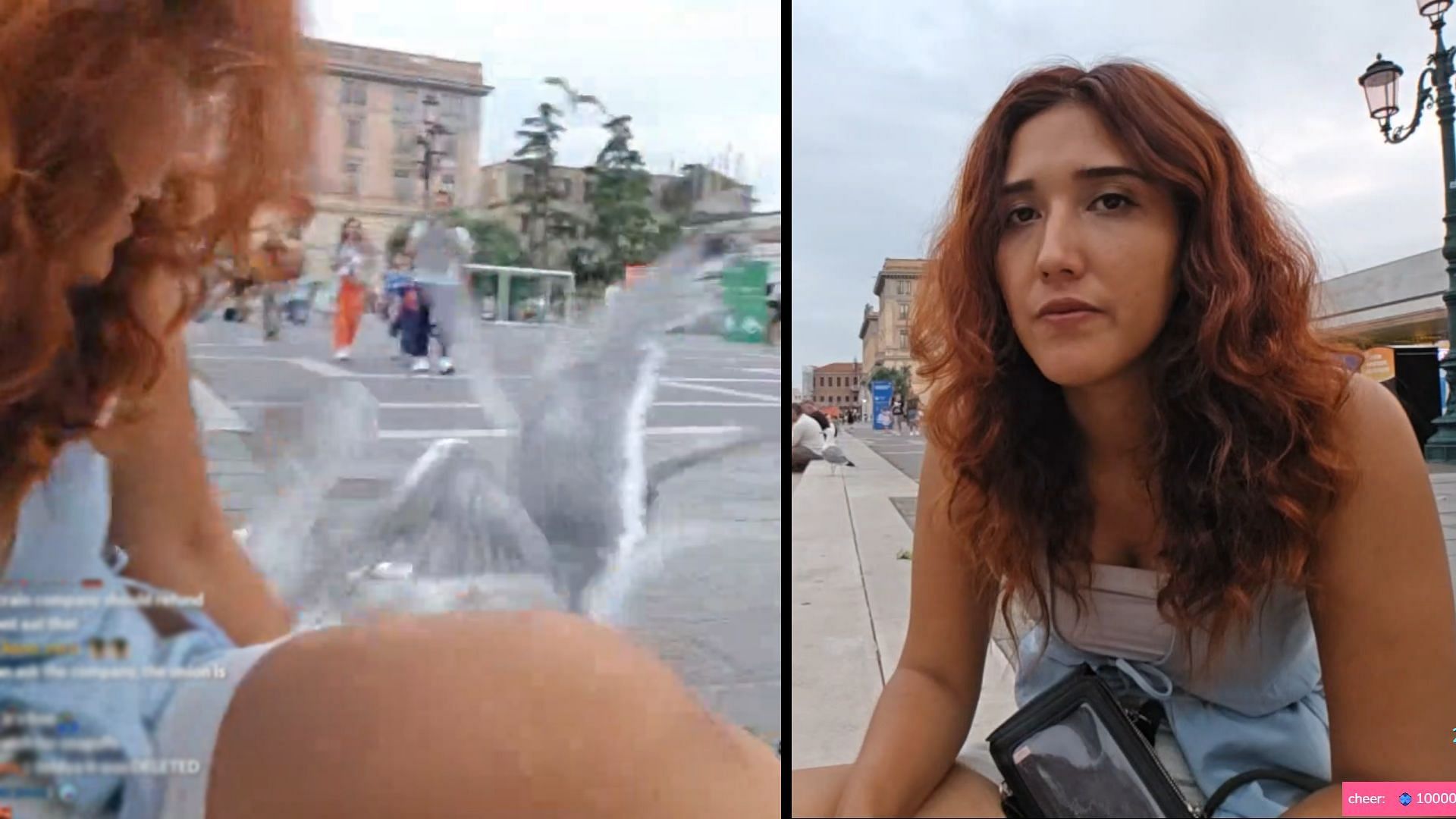 Seagulls attacked Twitch streamer