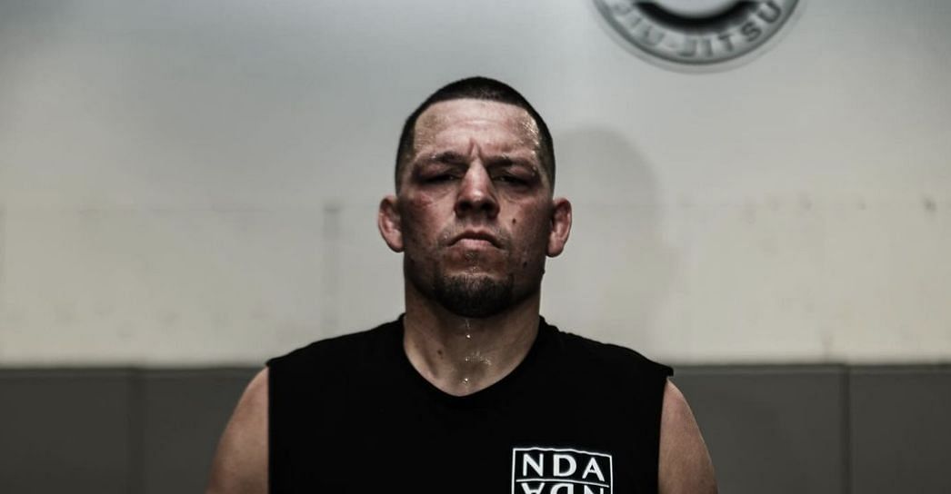 What is the ethnicity of Nate Diaz?