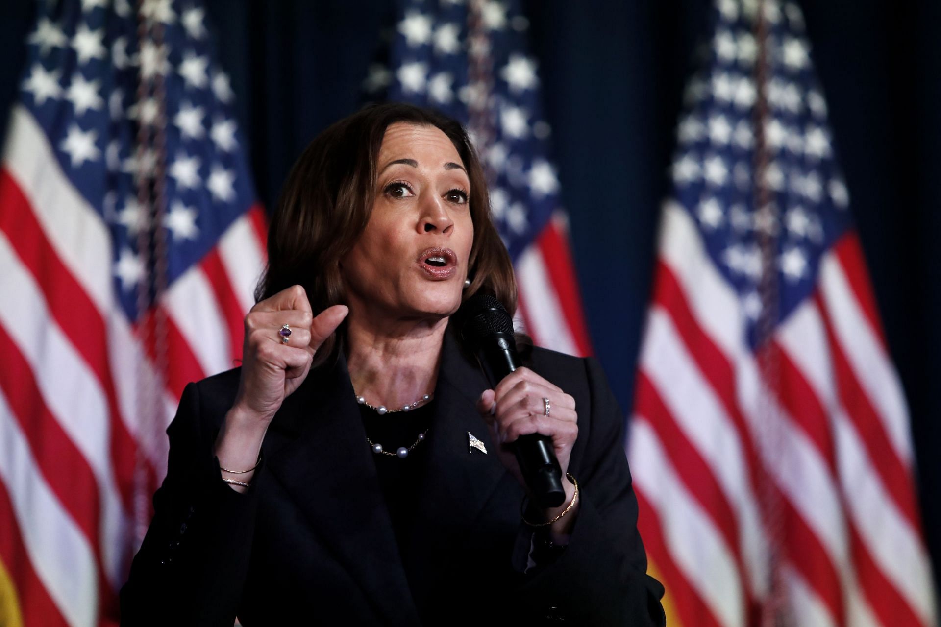 Vice President Harris Holds Campaign Event In Kalamazoo, Michigan - Source: Getty