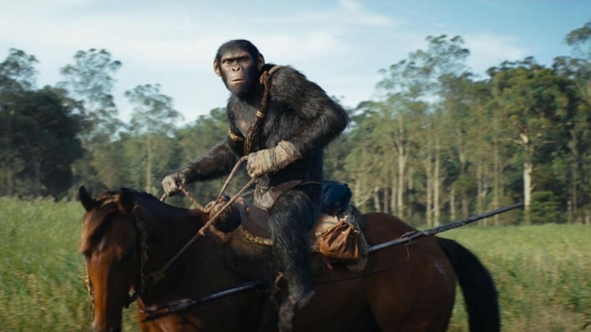 Kingdom of the Planet of the Apes Photo by 20th Century Studios