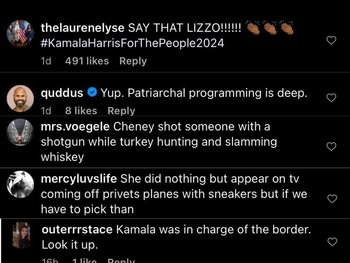 Fans react to Pink singer defending Kamala Harris (Image via Instagram/ @lizzobeeating)