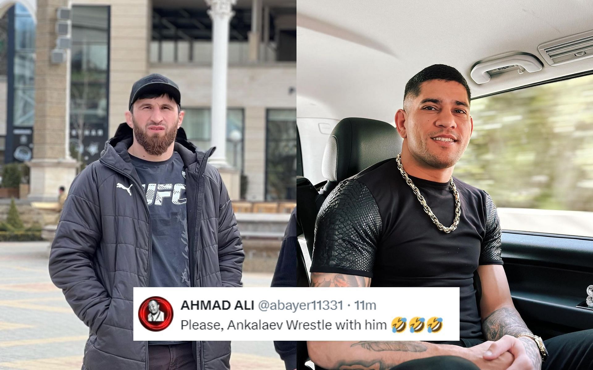 Fans react to Magomed Ankalaev