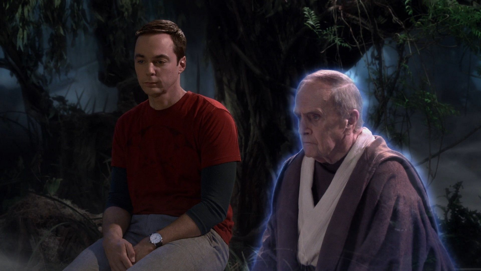 Bob Newhart and Jim Parsons as Arthur Jeffries and Sheldon Cooper on The Big Bang Theory (Image via Netflix)