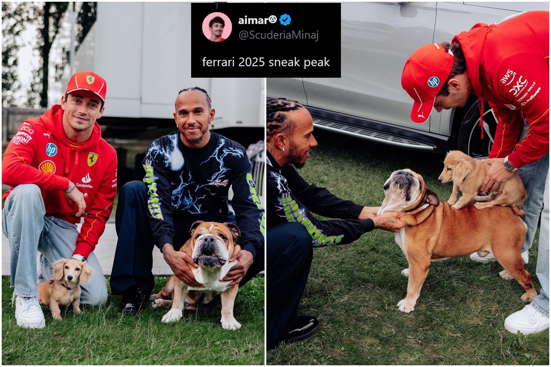 Charles Leclerc and Lewis Hamilton with their pet dogs Leo and Roscoe (Collage via Sportskeeda)