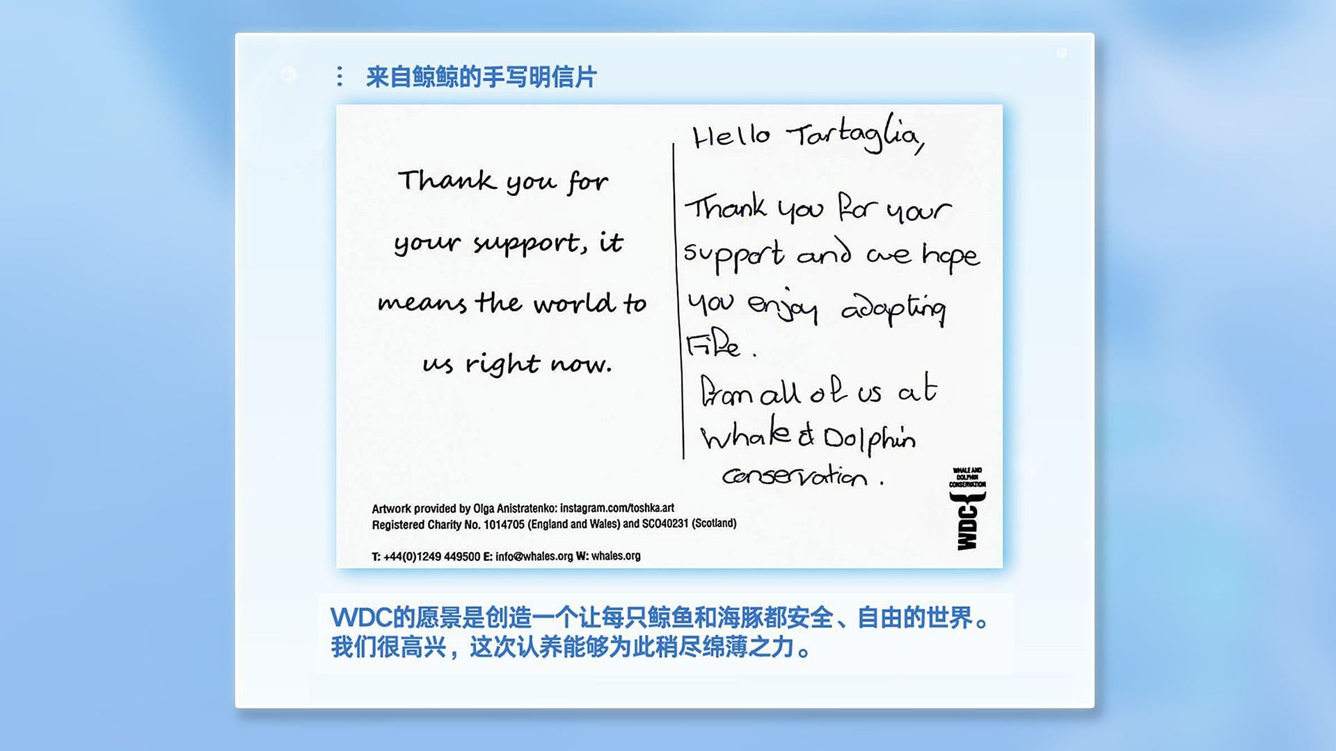 Postcard sent by the Whale and Dolphin Conservation for the adoption (Image via Whale and Dolphin Conservation)