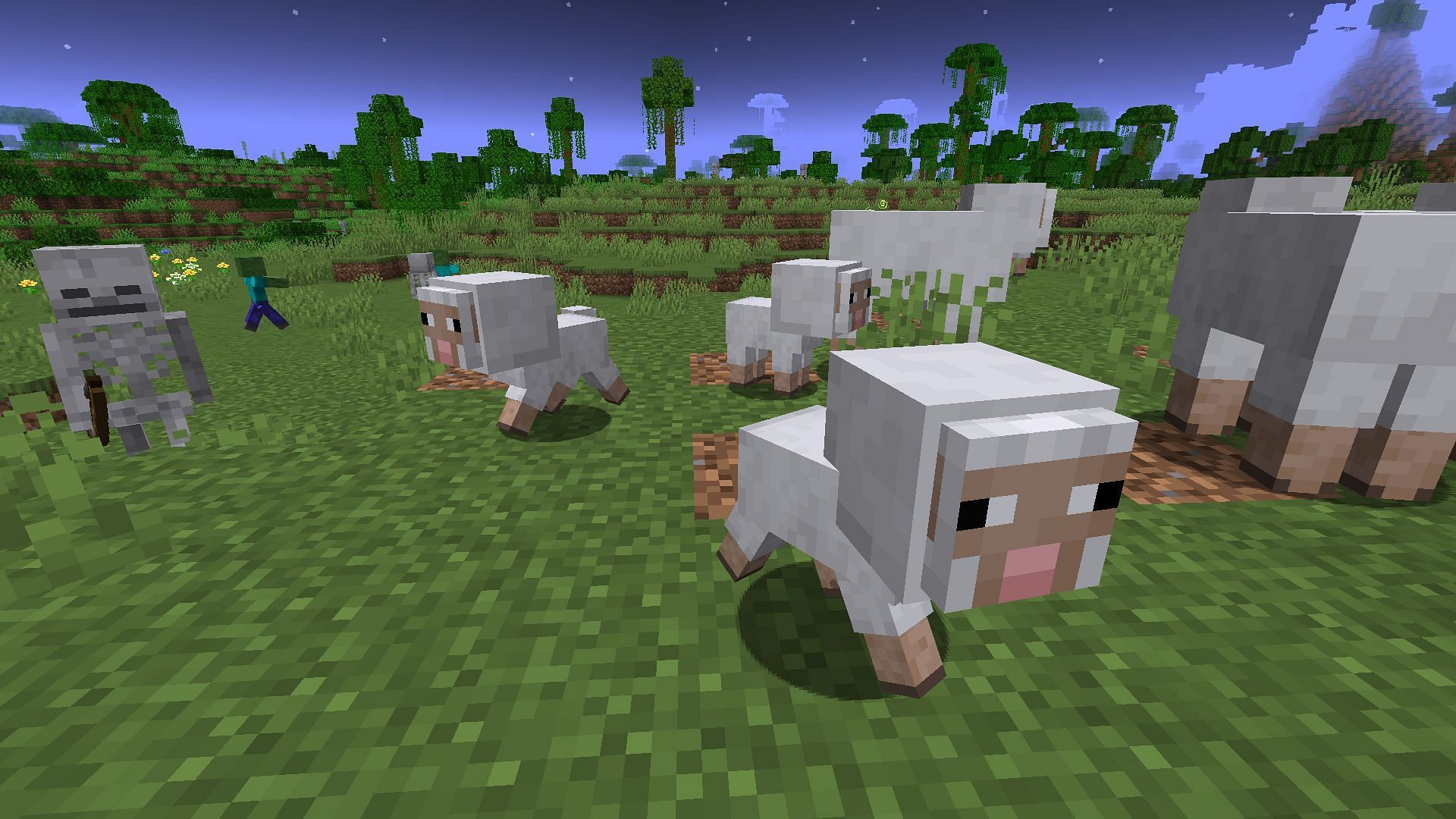 Sheep are by far the most common four heart mobs (Image via Mojang)