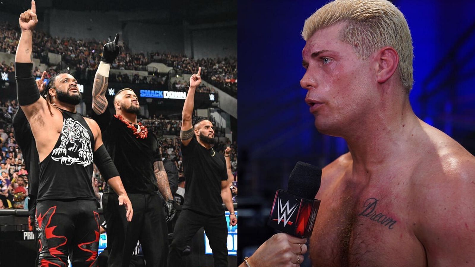 The Bloodline and Cody Rhodes (pics from WWE.com)