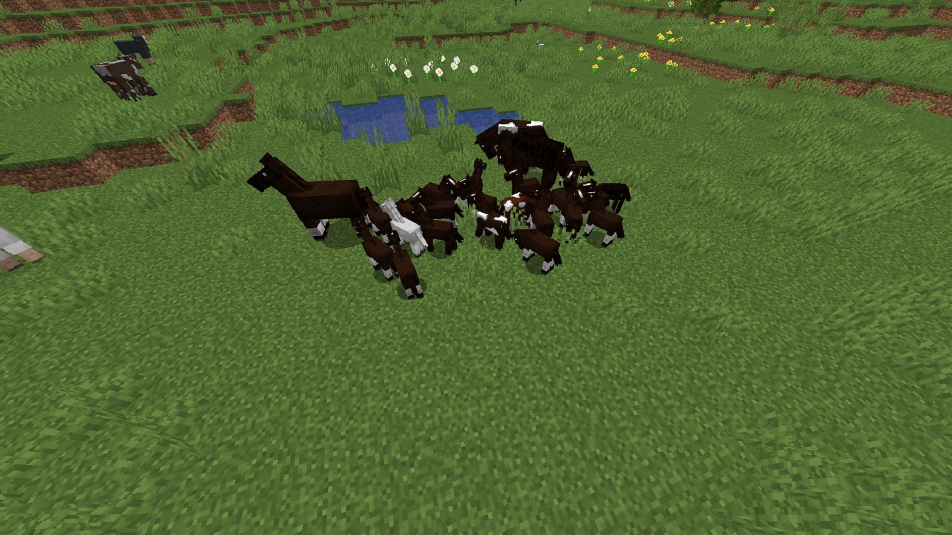 Breeding horses to get foals is an excellent way to create better horses in Minecraft (Image via Mojang)