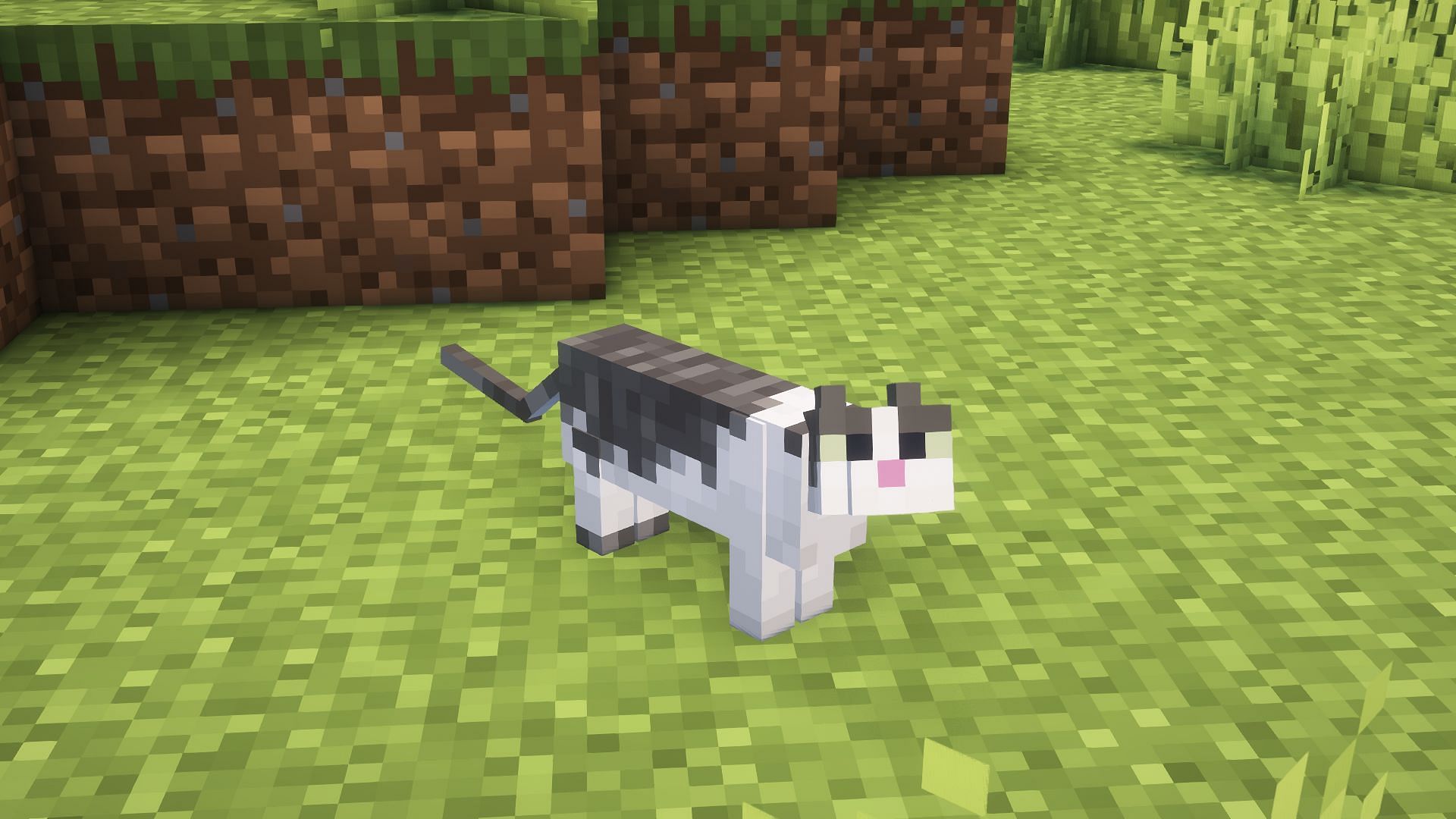 Cats can be tamed easily with raw cod or salmon (Image via Mojang Studios)