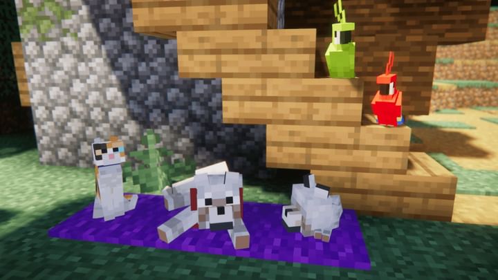 Minecraft Entity Model Features mod: How to get and use