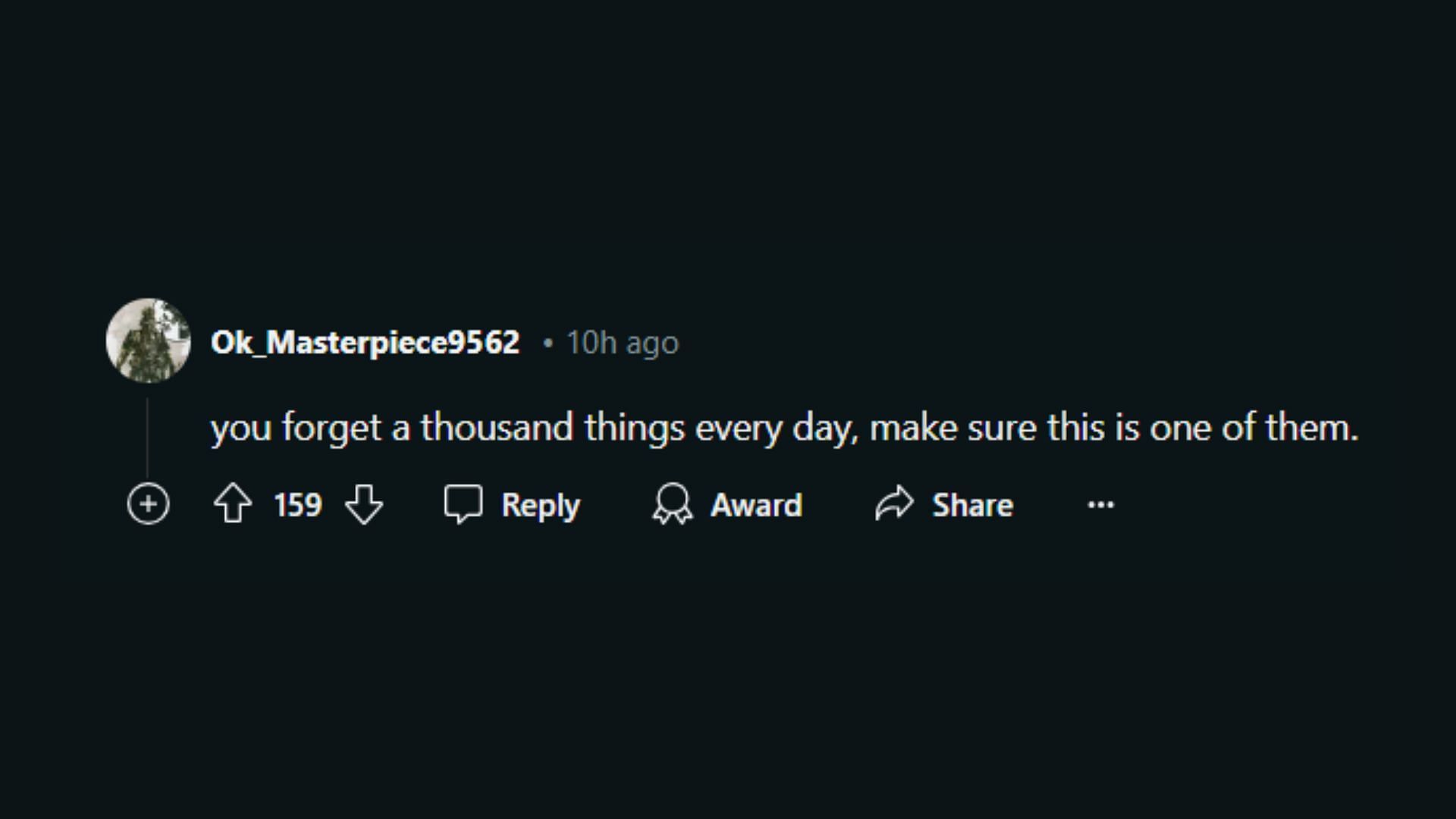 u/Ok_Masterpiece9562&rsquo;s comment on the thread (Image via Reddit)