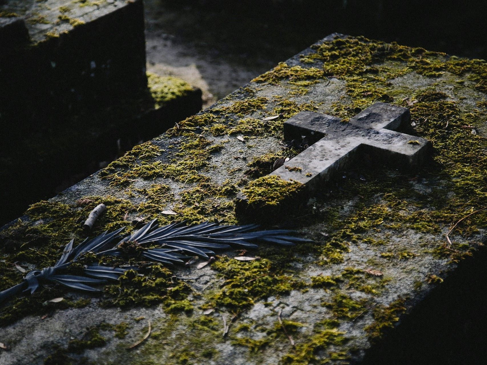 Cynthia Coates buried evidence at her granddaughter&#039;s grave (Image via Unsplash)