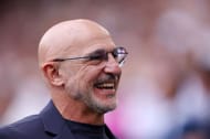 Spain boss Luis de la Fuente