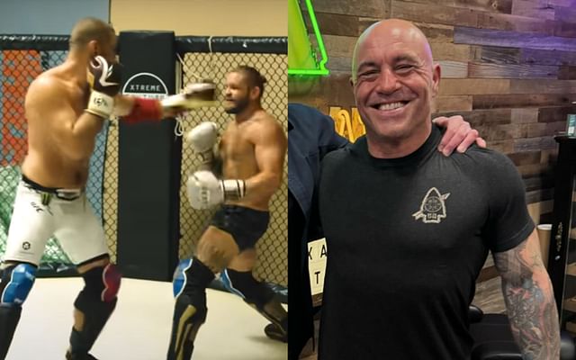 Joe Rogan: "Joe Rogan needs this man on his podcast" - Sean Strickland