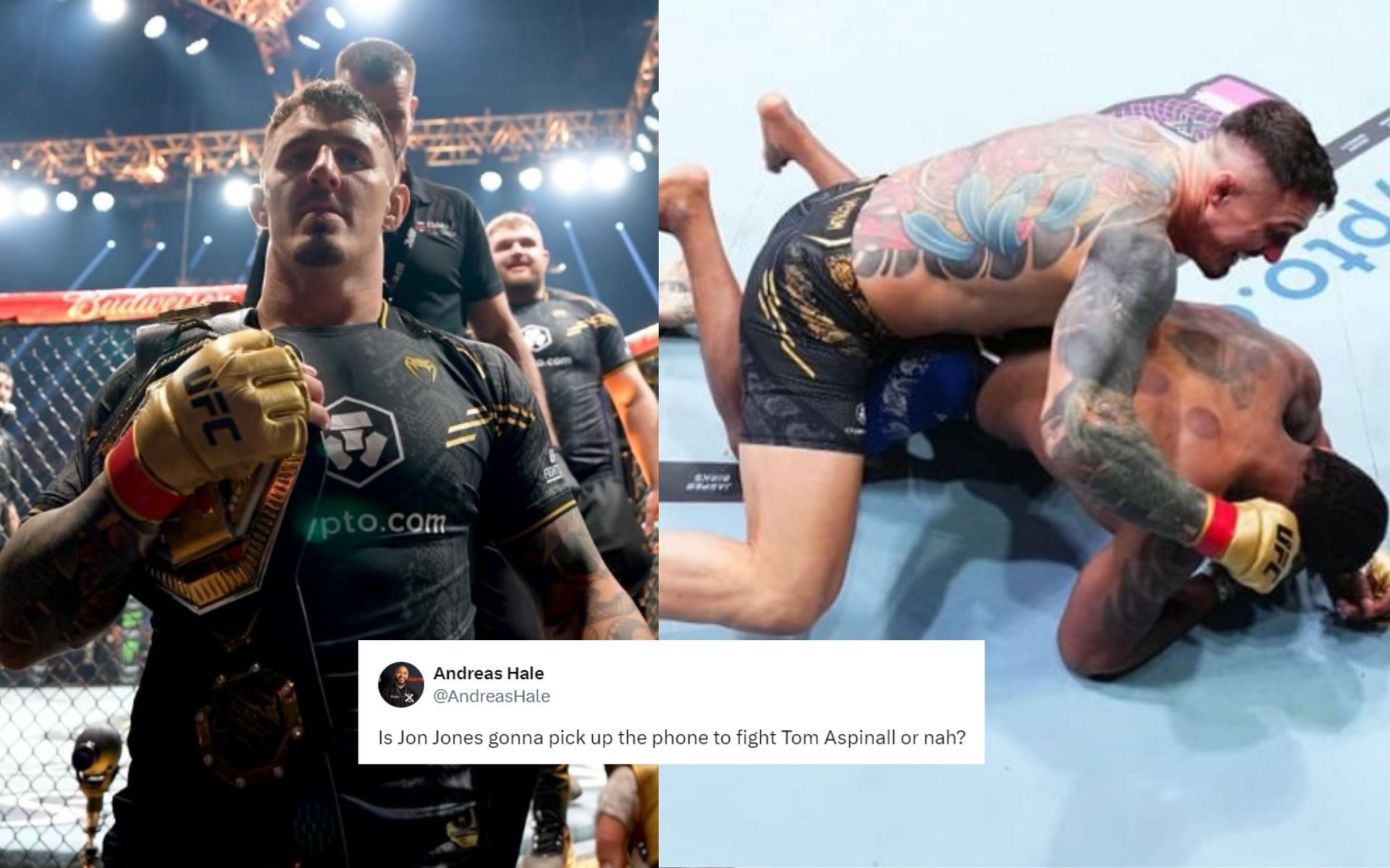 Fighters react to Tom Aspinall