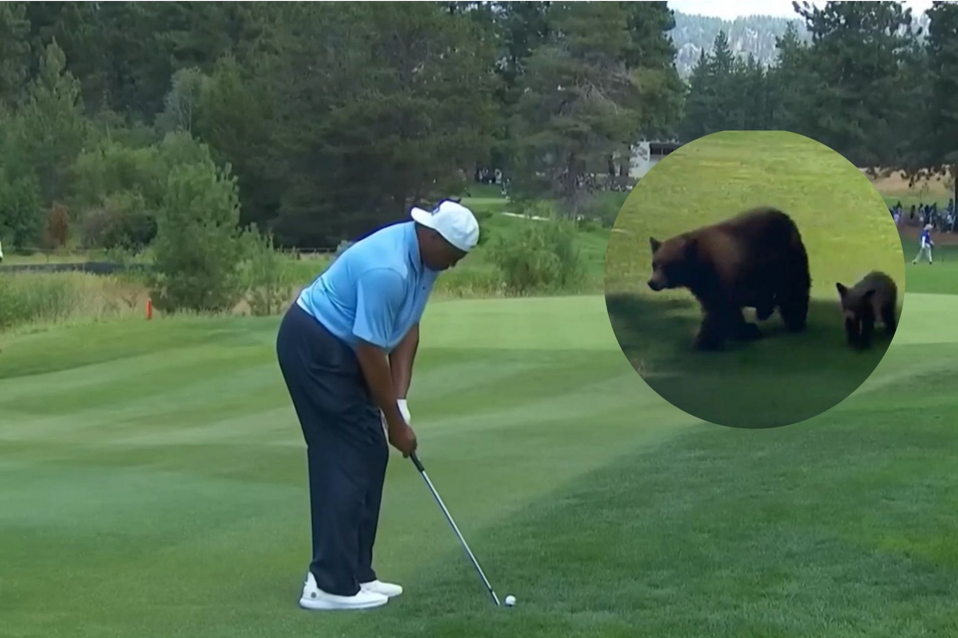 Charles Barkley and others encounter a bear during the American Century Championship (Image 1 via Golf Channel, Image 2 via Brett Forrest)