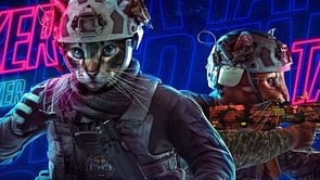 A cat-themed gun is reportedly coming to Call of Duty and it will meow when you shoot