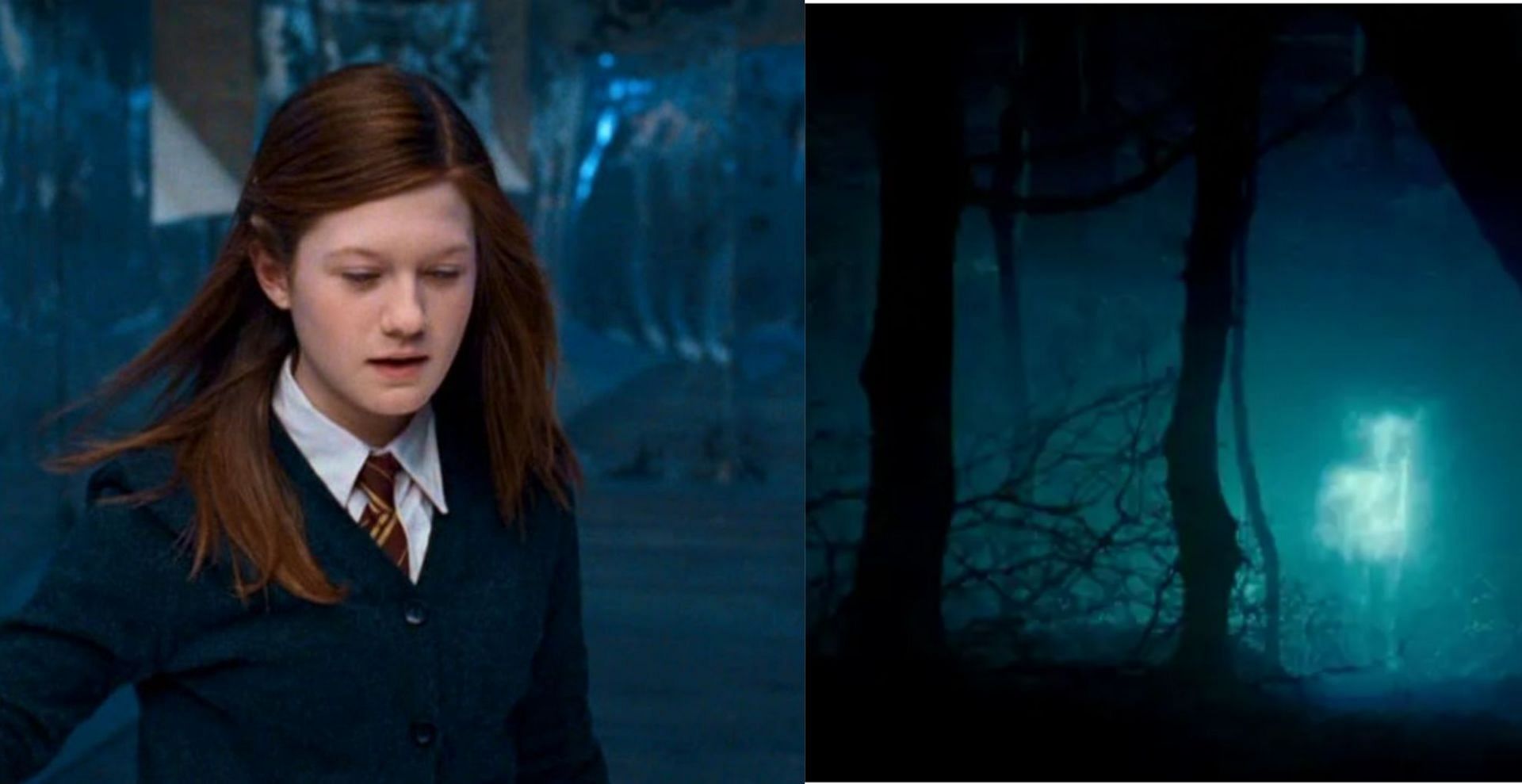 What form does Ginny's Patronus take in the Harry Potter films? Explained