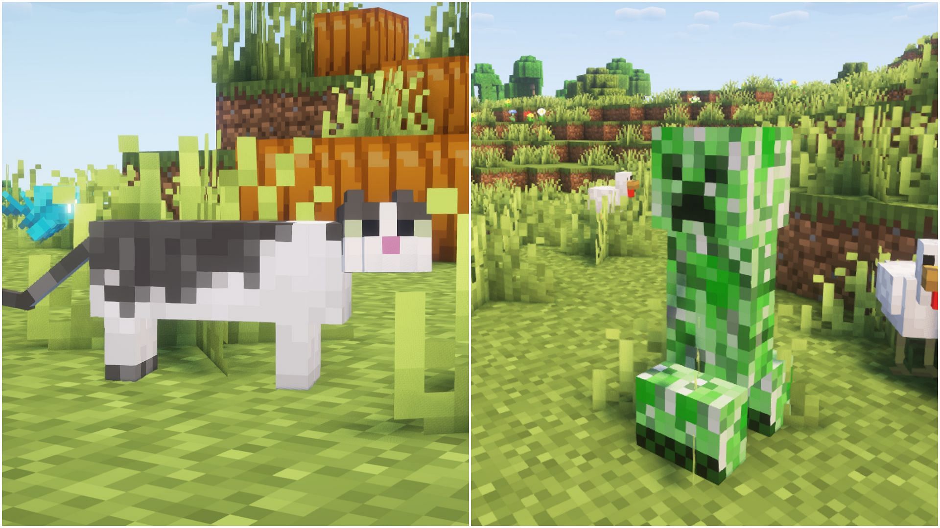 Cats have various features in the game (Image via Mojang Studios)