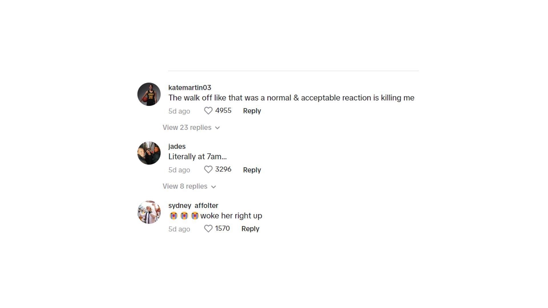 Image Credit: @kyliefeuerback&#039;s TikTok comment section